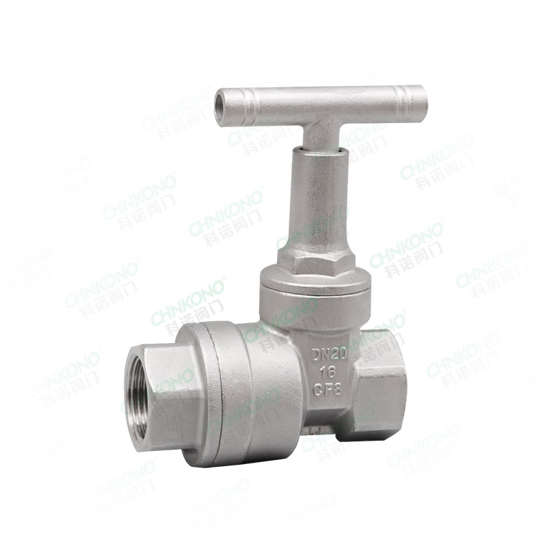 防盗闸阀带止回阀